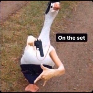 Meet your Posher, Enrique